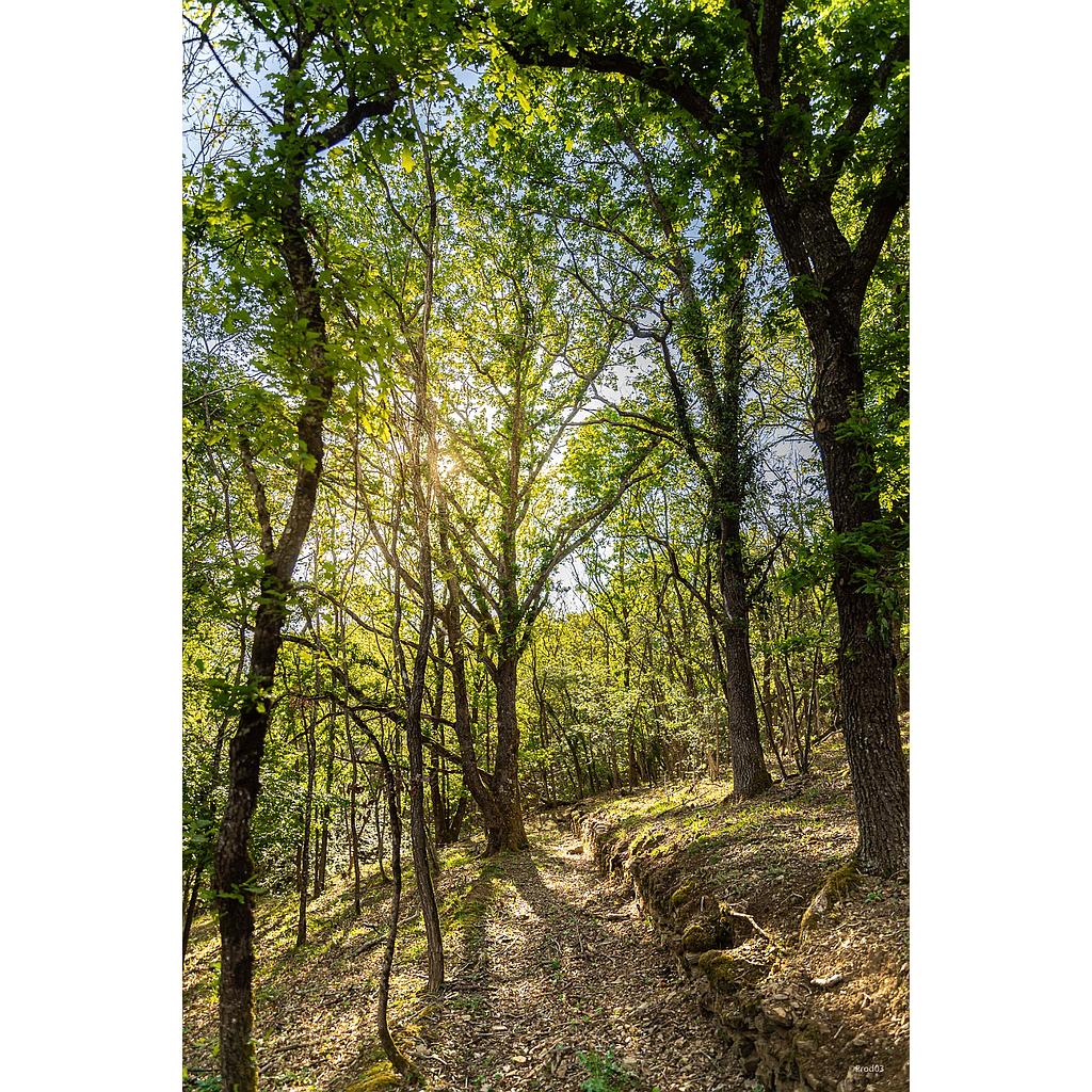 Randonnée en Val de Sioule