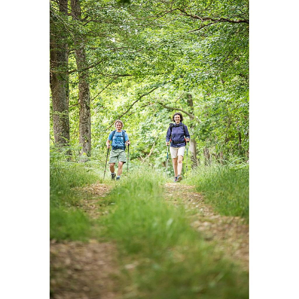 Rando détente de la Forêt